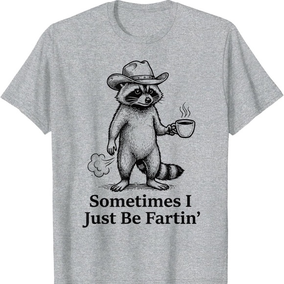 Gray Graphic Tee with Raccoon Print - Picture 1 of 1